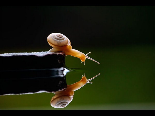 रिफ्लेक्‍शन फोटोग्राफी 