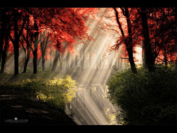 रिफ्लेक्‍शन फोटोग्राफी 