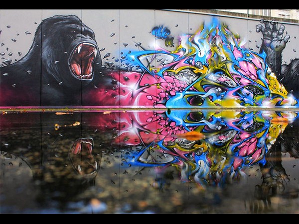 रिफ्लेक्‍शन फोटोग्राफी 