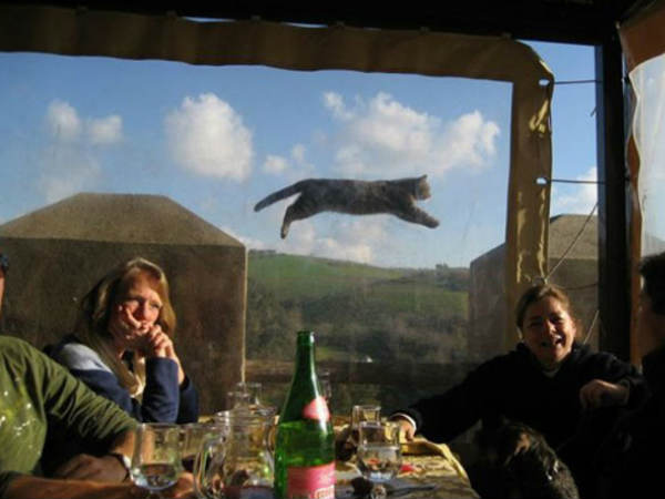 फोटोबॉम्‍बिंग