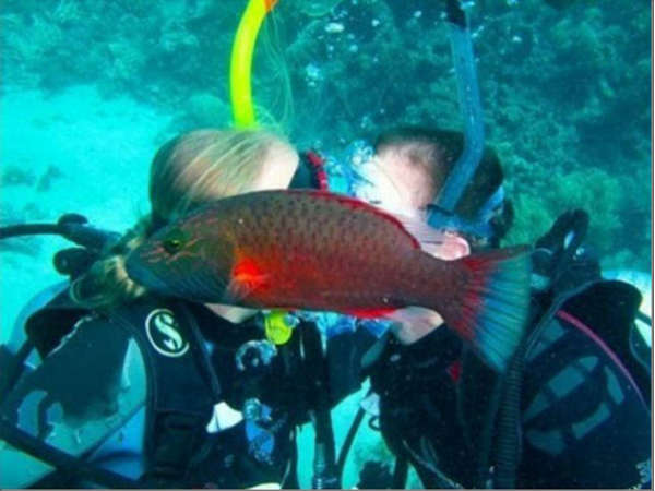 फोटोबॉम्‍बिंग