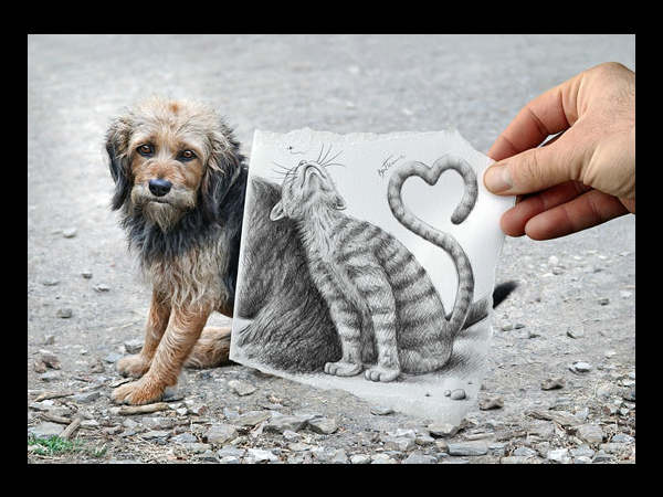 Project Pencil Vs Camera 