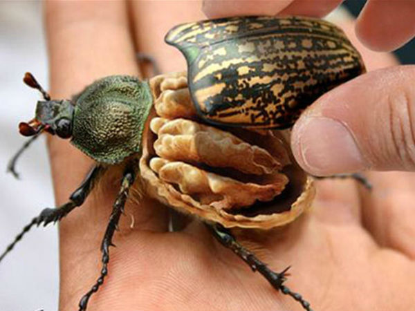 Adobe Photoshop photo effect