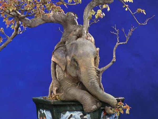 Adobe Photoshop photo effect