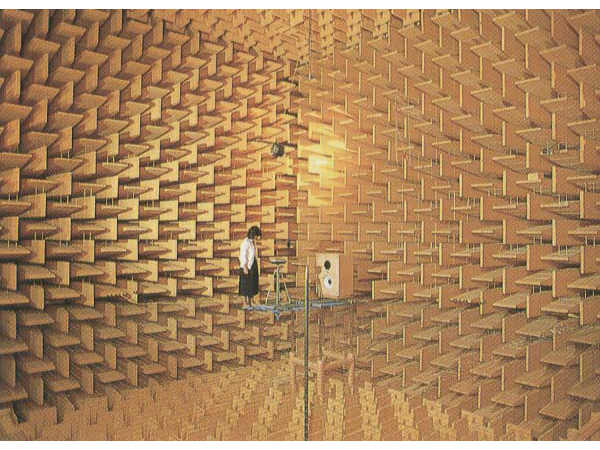 Earth's quietest place