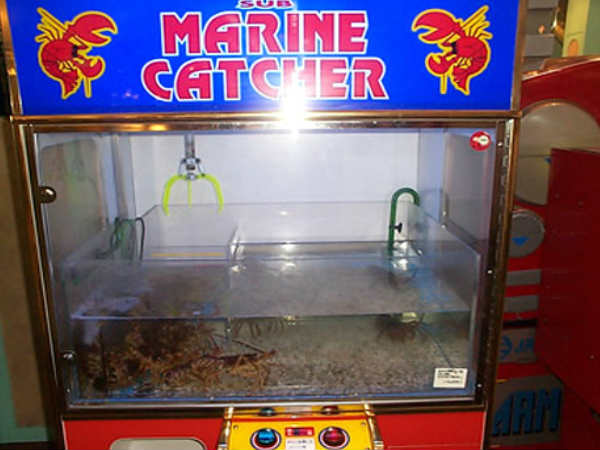 लॉब्‍स्‍टर वेंडिंग मशीन 