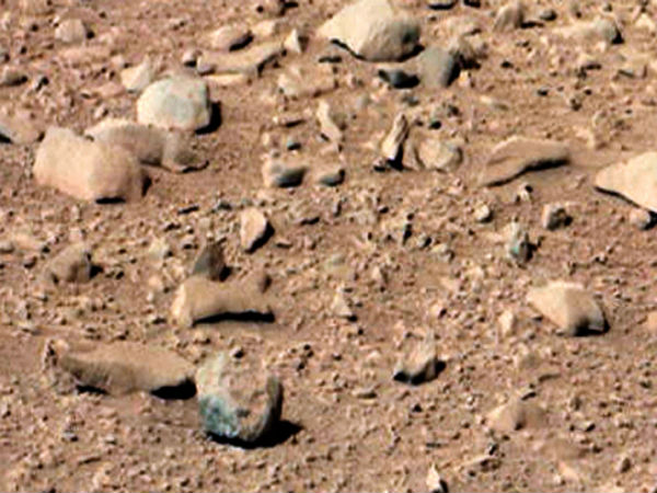 Rat on Mars