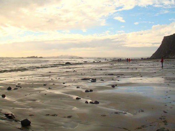 Best Shots Of OS X Mavericks Real Life Inspiration 