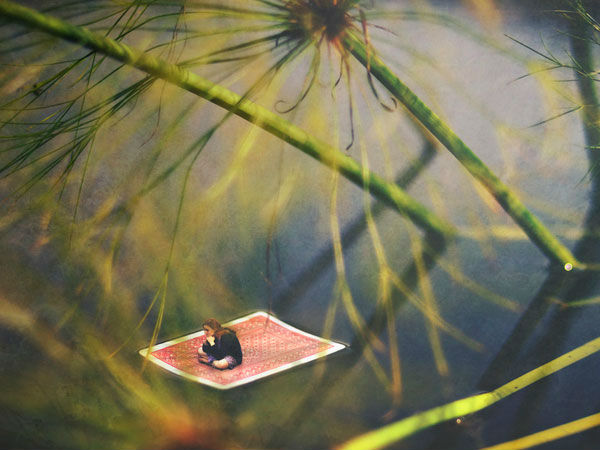 14 year old photographer Zev Pictures 
