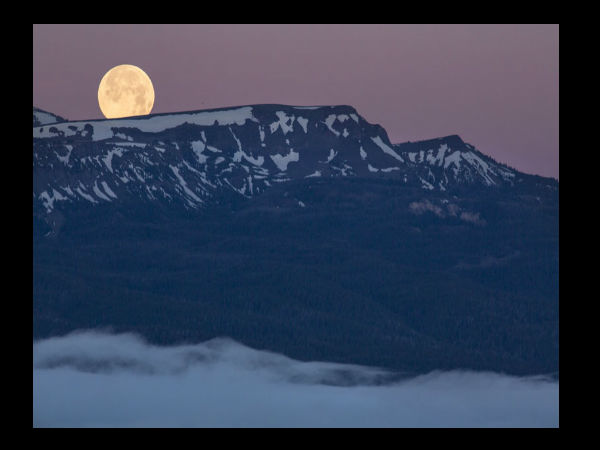 Full moon day  