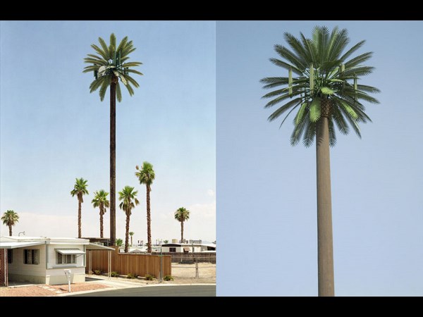 Cell Phone Tower 