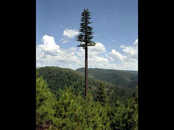 Cell Phone Tower 