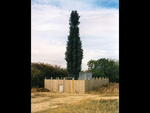 Cell Phone Tower 