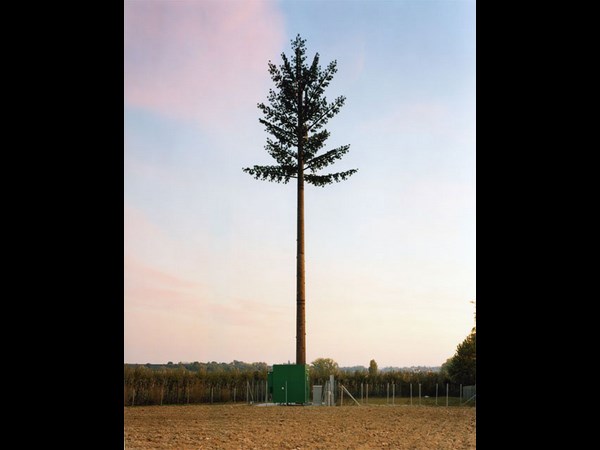 Cell Phone Tower 
