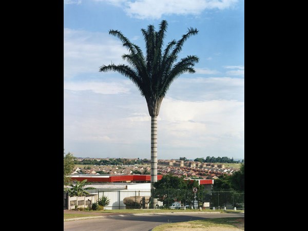 Cell Phone Tower 