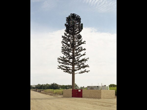 Cell Phone Tower 