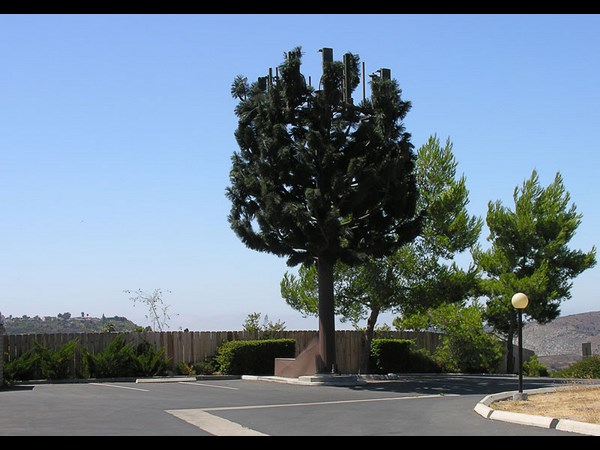 Cell Phone Tower 