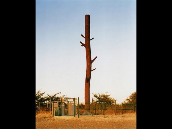 Cell Phone Tower 