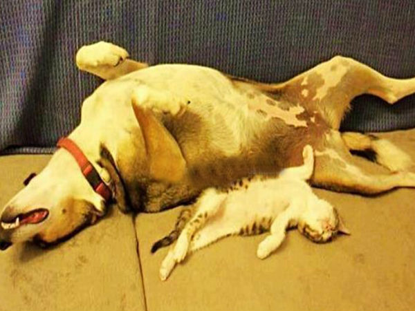 Facebook funny photo