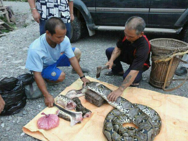 Facebook funny photo