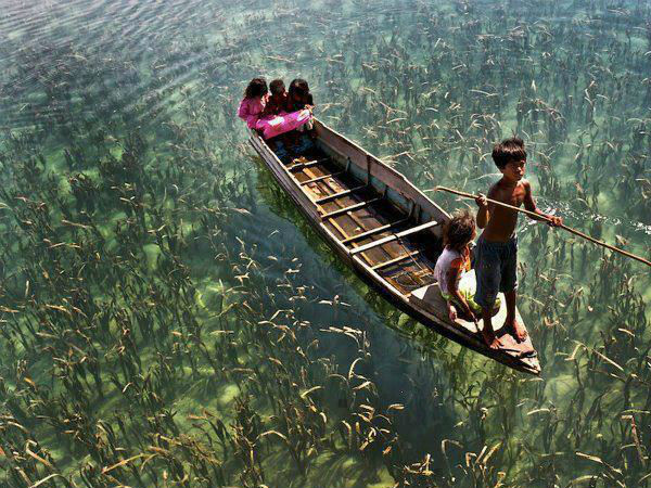 Facebook funny photo