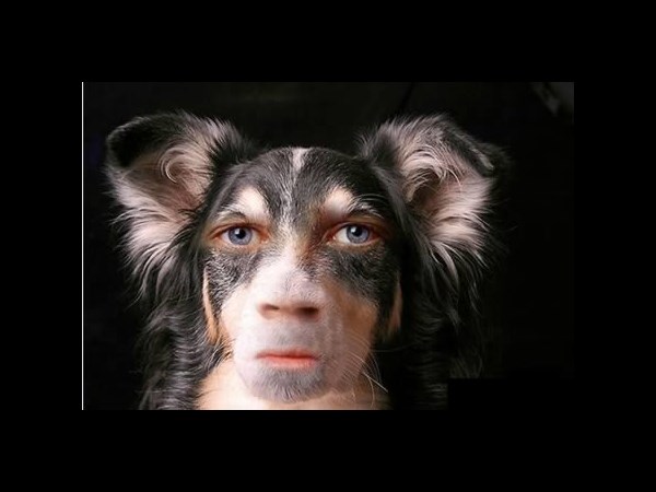 Photoshop Photo Effect