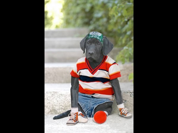 Photoshop Photo Effect