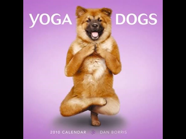 Photoshop Photo Effect