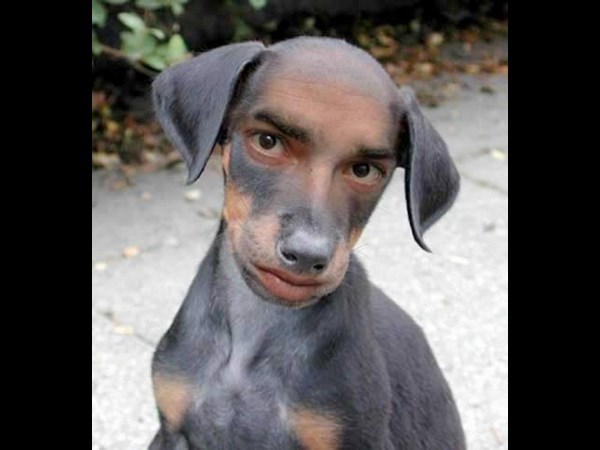 Photoshop Photo Effect