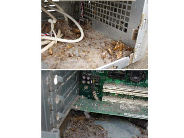 Surprising Things Found Inside Computers Surprising Things Found Inside Computers