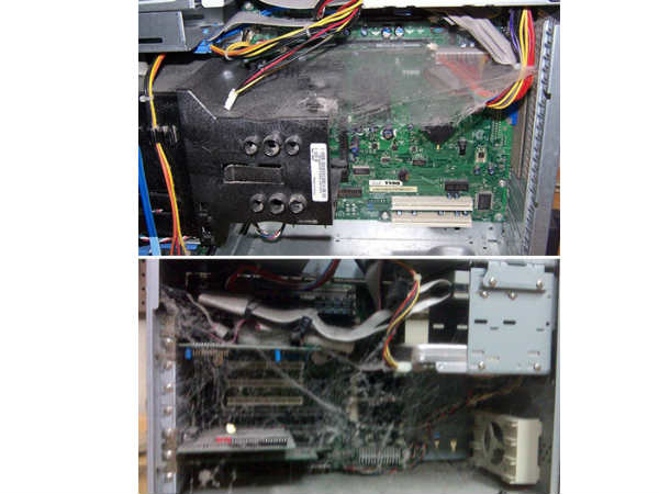 Surprising Things Found Inside Computers Surprising Things Found Inside Computers