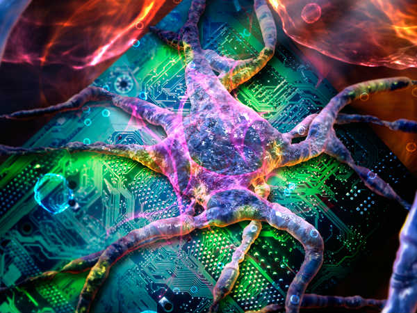 Signs of a Computer Virus 