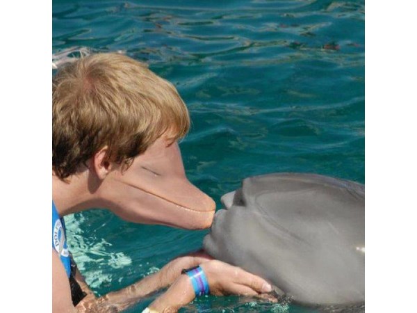 Terrifyingly Amazing Face Swaps