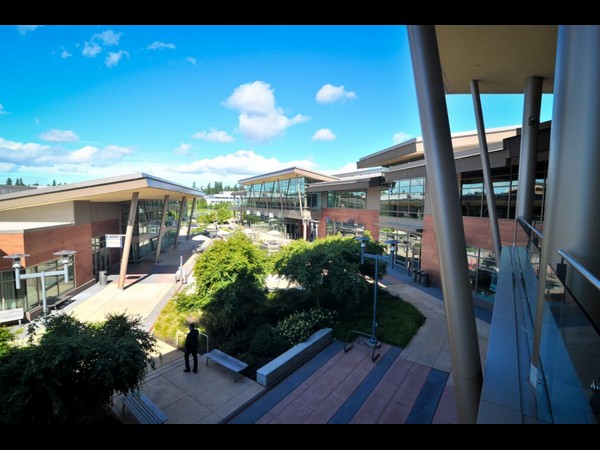 Microsoft Massive Headquarters Mall 