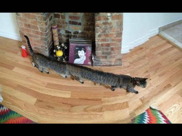 Wrong Panorama Photos 