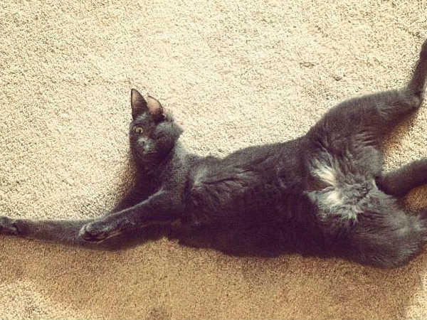 Wrong Panorama Photos 