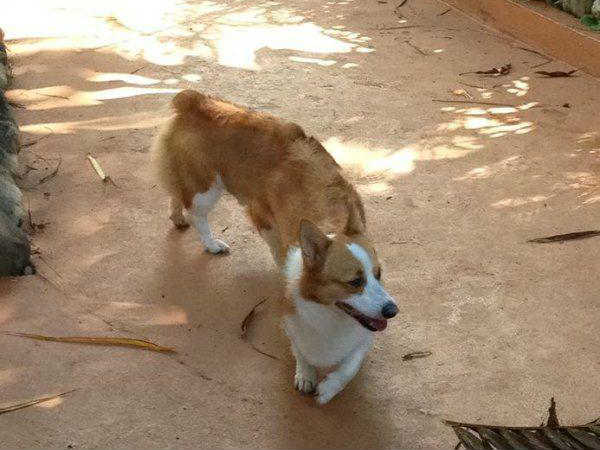 Wrong Panorama Photos 