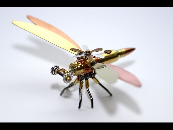 Mechanisoptera Dragonflies 