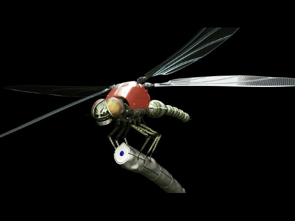 Metal Dragonfly Metal Dragonfly
