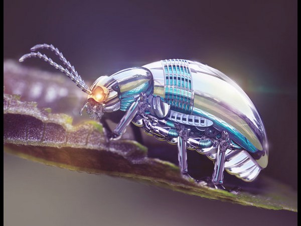 Robotic Beetle 