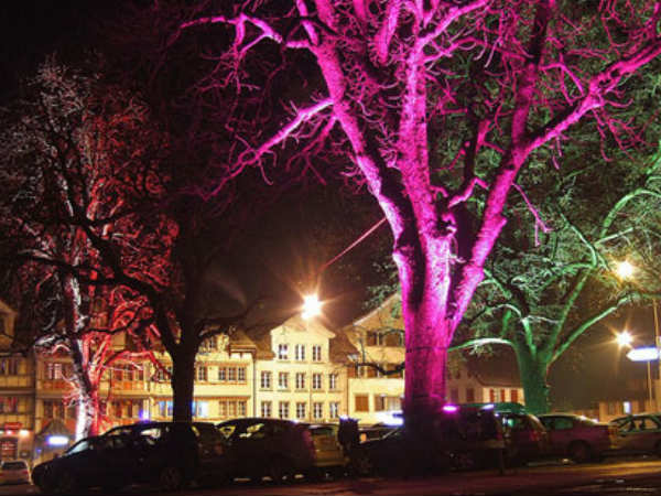Trees One Day Replace Electric Streetlights? 