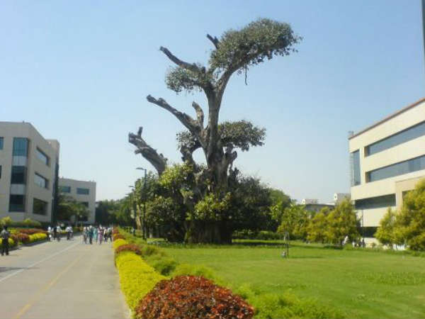Infosys eco buildings Infosys eco buildings