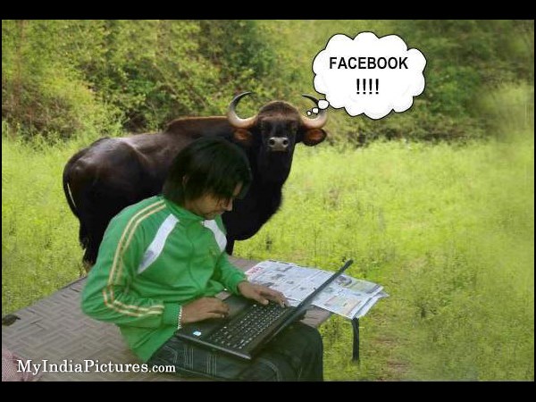 facebook funny photos 