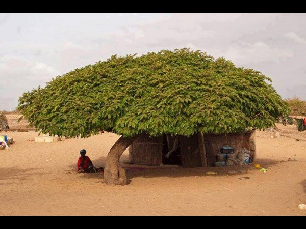 facebook funny photos 