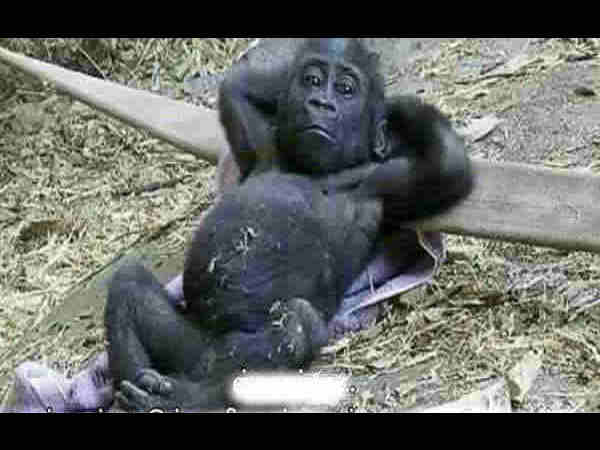 facebook funny photos 