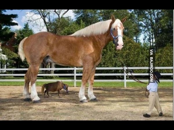 Weird and Funny Photos  