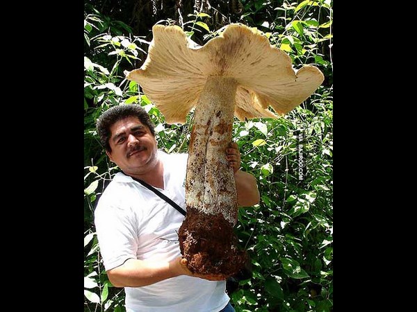 Weird and Funny Photos 