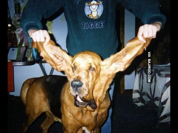 Weird and Funny Photos 