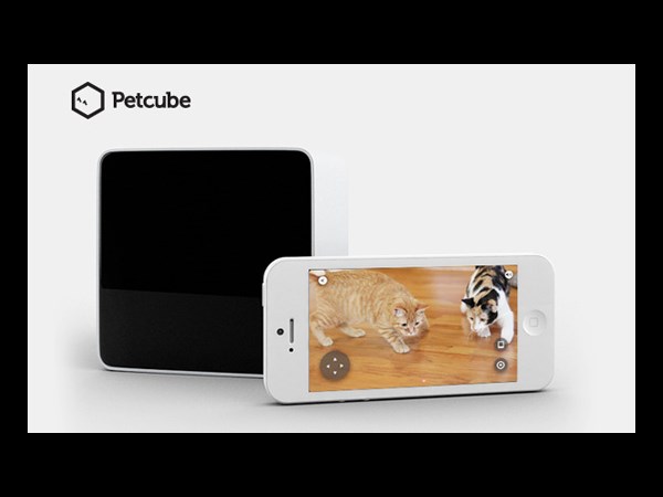 Petcube