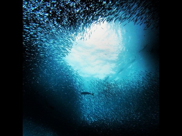 Underwater Instagram Photos